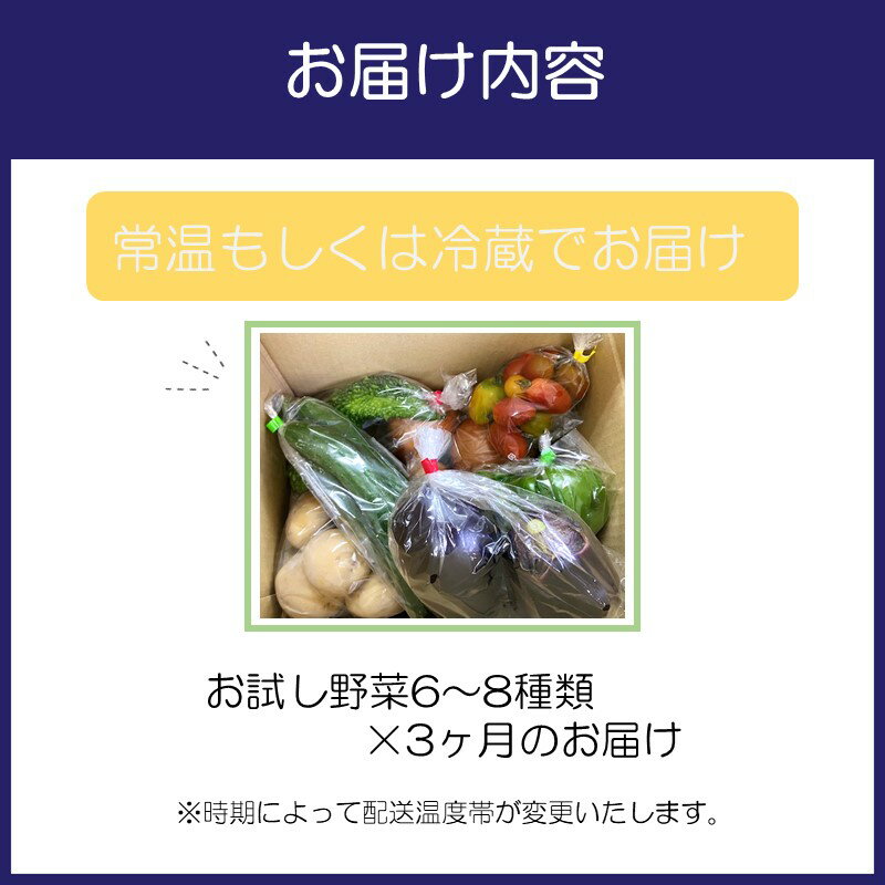 【ふるさと納税】サザンぴあ お試し野菜6～8品 3ヶ月定期便 - 画像2