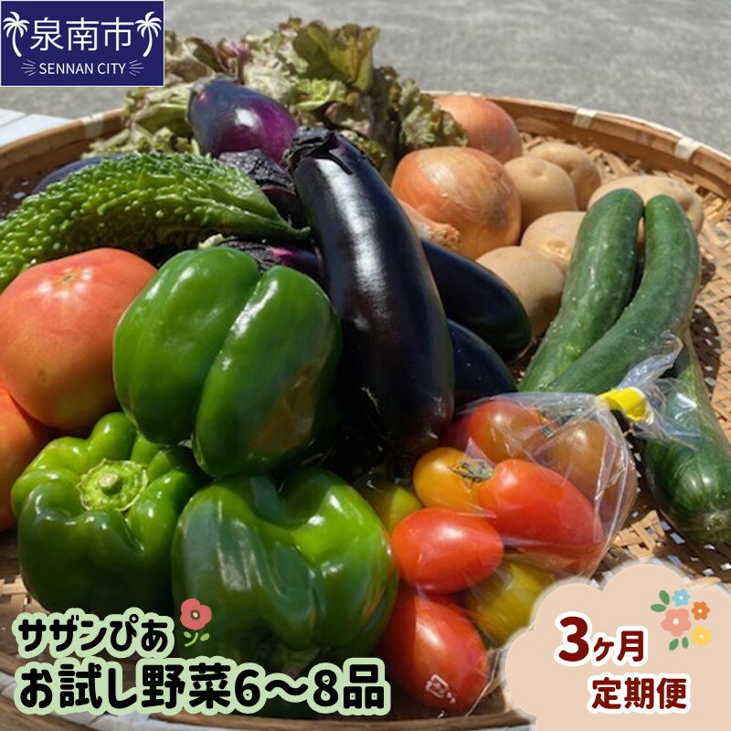 サザンぴあ お試し野菜6～8品 3ヶ月定期便