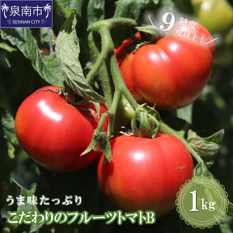 【糖度9度以上】うま味たっぷり こだわりのフルーツトマトB 1kg 野菜 食品 フルーツトマト ふるさと納税 トマト【配送不可地域：北海道・沖縄県・離島】