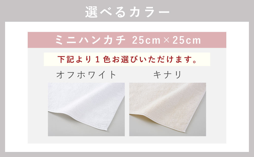 【ふるさと納税】＜選べるカラー＞【今治タオルブランド認定】なめらかバンガロールorganic ミニハンカチ 2枚セット オフホワイト・キナリ 25cm×25cm 綿100% コットン タージマハールオーガニック ハンドタオル ハンカチーフ 吸水 小物 雑貨 大阪府 阪南市 送料無料 サムネイル3