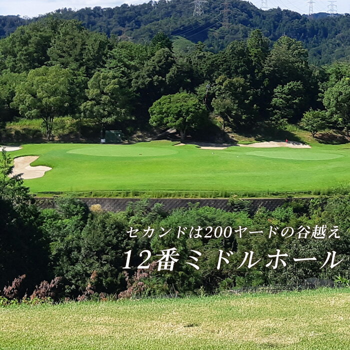 【ふるさと納税】 新大阪ゴルフクラブ土日祝日特別優待プレー券（1名様×1枚） ／ ゴルフ ゴルフコース プレー券 ゴルフ場 ゴルフ場利用券 優待券 土日祝 休日 週末 ゴルフ券 1名 チケット 券 スポーツ 運動 レジャー アウトドア 体験 絶景 遊び 初心者 ゴルフ好き No.014 - 画像3