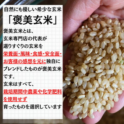 【ふるさと納税】【白米に混ぜて簡単!】国産 五穀米ブレンド600g(300g×2袋入り)【1632545】 - 画像2