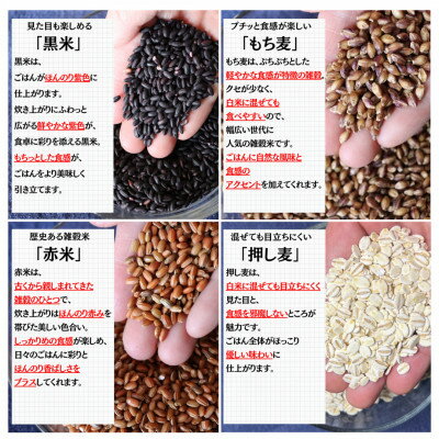 【ふるさと納税】【白米に混ぜて簡単!】国産 五穀米ブレンド1.5kg(300g×5袋入り)【1632613】 - 画像3