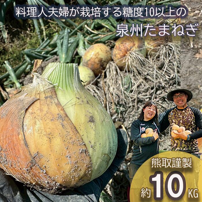 ＜2026年5月中旬順次発送 先行予約＞岸上農園　泉州玉ねぎ　約10kg（043_5002）