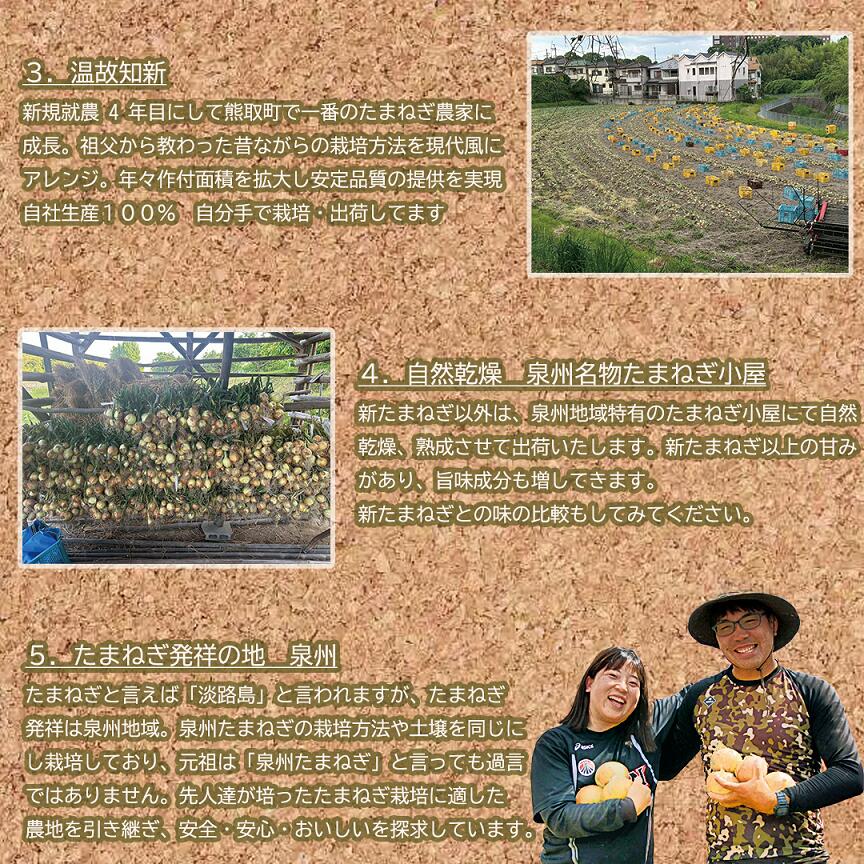 【ふるさと納税】＜2026年5月中旬順次発送 先行予約＞岸上農園　泉州玉ねぎ　約5kg（043_5001） - 画像3