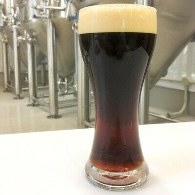 【ふるさと納税】KIX BEER12本セット(デュンケル)【配送不可地域：離島】【1515365】 サムネイル3