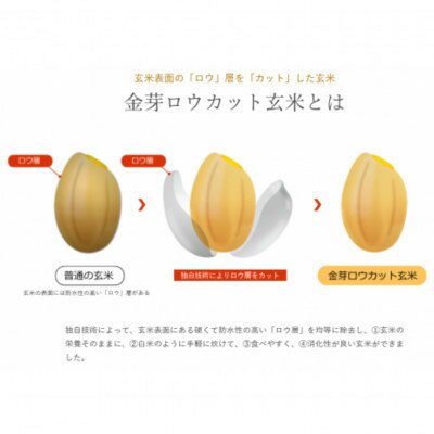 【ふるさと納税】【8kg】金芽ロウカット玄米 8kg(2kg×4袋)ふっくら柔らかい美味しさ!【1556849】 - 画像3