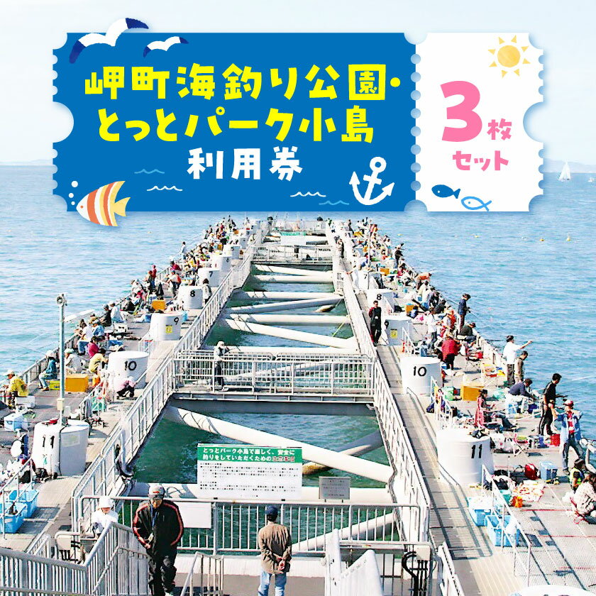 岬町海釣り公園・とっとパーク小島利用券【大人用3枚セット】_ チケット 施設利用券 利用券 クーポン券 3枚 セット 観光 レジャー 大阪府 岬町 【1267399】