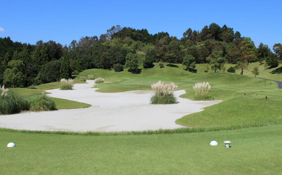 【ふるさと納税】大阪府 ワールドカントリーゴルフクラブ【土日祝】セルフ1名様プレー券 ／ GC 南河内 昼食付 チケット 大阪府 No.234 ゴルフ場 18ホール ラウンド 予約OK 初心者OK シニア歓迎 緑 豊かな自然 ゴルフデビュー アウトドア 休日レジャー スポーツ体験 - 画像3