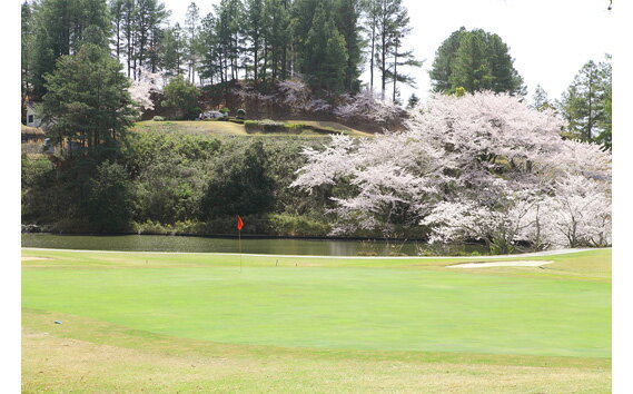 【ふるさと納税】 大阪府　グロワールゴルフ倶楽部【平日】セルフ4名様プレー券／昼食付 ／ チケット ゴルフ場 送料無料 大阪府 No.264 - 画像2
