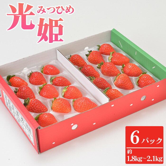 No.271 光姫（イチゴ）約1.8kg～約2.1kg（6パック） ／ 苺 いちご 果物 フルーツ 送料無料 大阪府