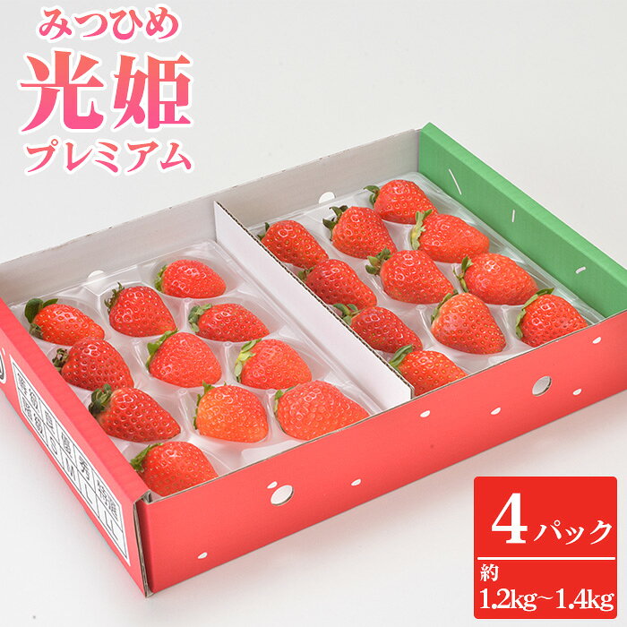 No.272 光姫プレミアム（イチゴ）約1.2kg～約1.4kg（4パック） ／ 苺 いちご 果物 フルーツ 送料無料 大阪府