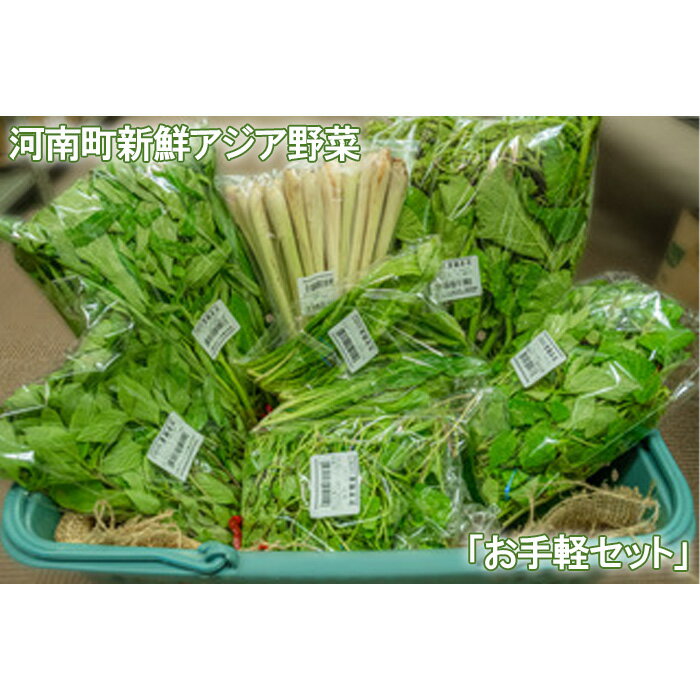 河南町新鮮アジア野菜「お手軽セット」 ／ 唐辛子 パクチー バジル 大阪府 No.332 野菜セット 新鮮 香り 空芯菜 食材 エスニック 料理素材 冷蔵配送 旬 食卓アレンジ お取り寄せ 家庭料理 香味野菜