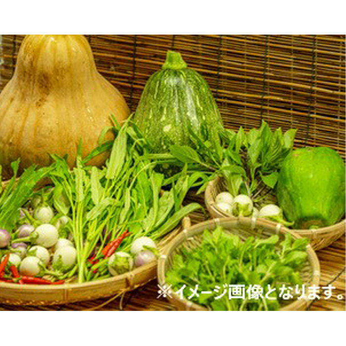 【ふるさと納税】河南町新鮮アジア野菜「お手軽セット」 ／ 唐辛子 パクチー バジル 大阪府 No.332 野菜セット 新鮮 香り 空芯菜 食材 エスニック 料理素材 冷蔵配送 旬 食卓アレンジ お取り寄せ 家庭料理 香味野菜 - 画像2
