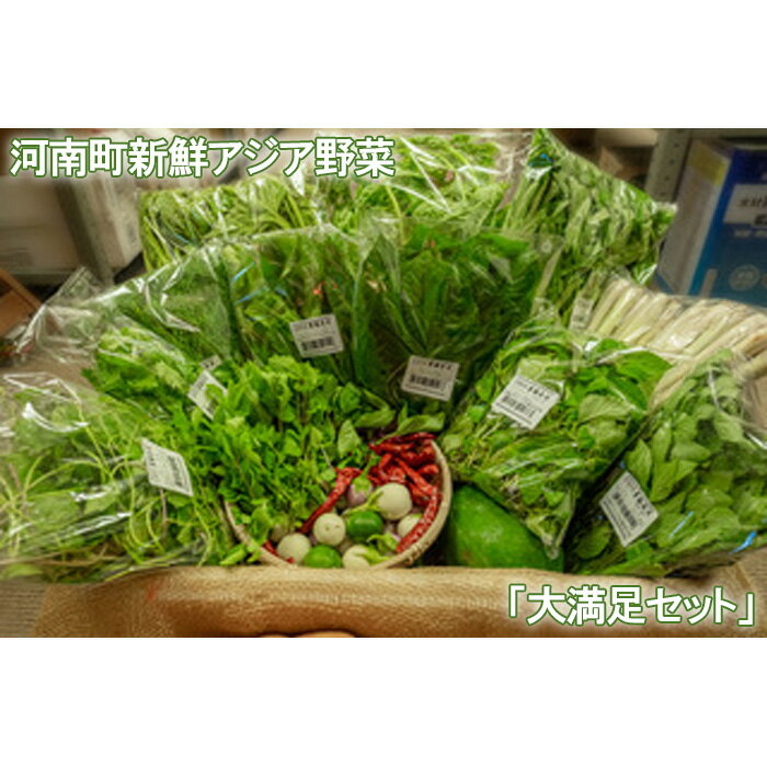 河南町新鮮アジア野菜「大満足セット」 ／ 唐辛子 パクチー バジル 大阪府 No.334 野菜セット 大満足 新鮮 香り 空芯菜 料理素材 食卓アレンジ 詰め合わせ 多彩 お取り寄せ