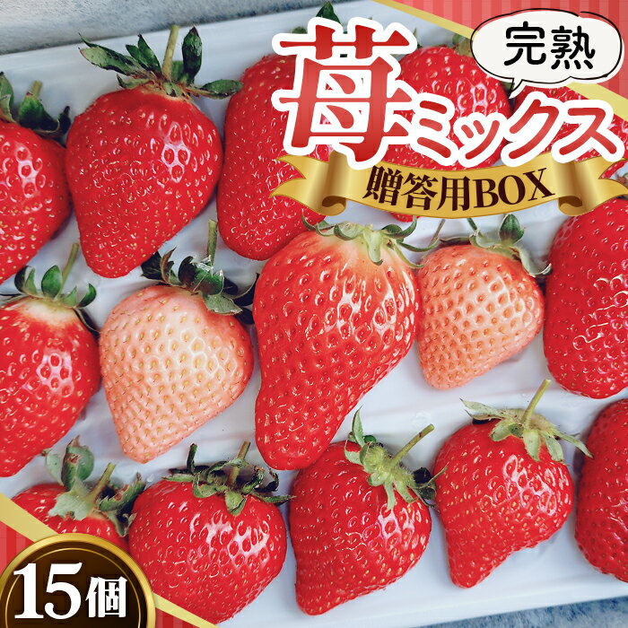 No.399 完熟苺ミックス15粒贈答用BOX ／ 厳選 大粒 イチゴ いちご 果物 フルーツ 送料無料 大阪府