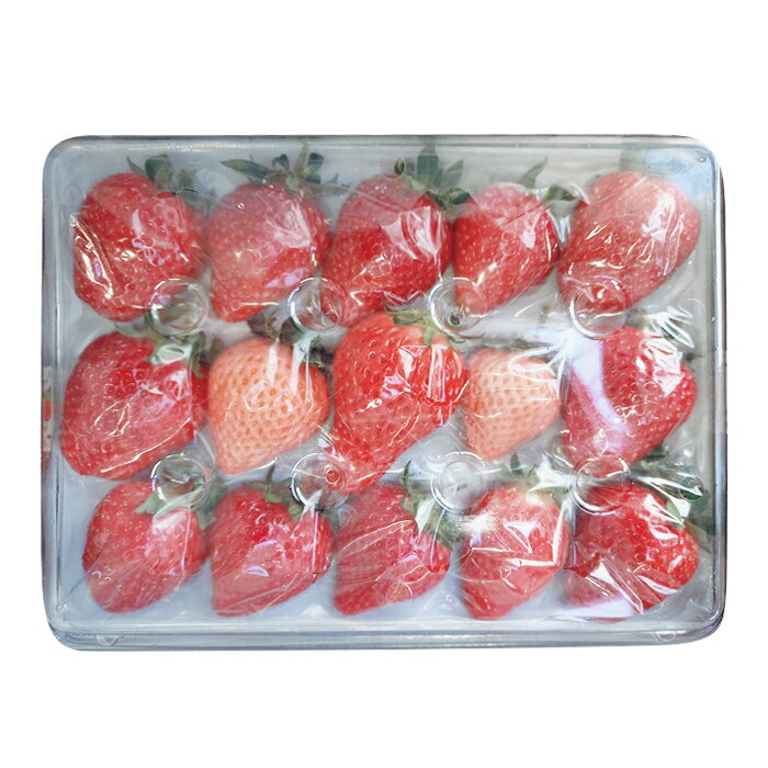 【ふるさと納税】No.399 完熟苺ミックス15粒贈答用BOX ／ 厳選 大粒 イチゴ いちご 果物 フルーツ 送料無料 大阪府 サムネイル3