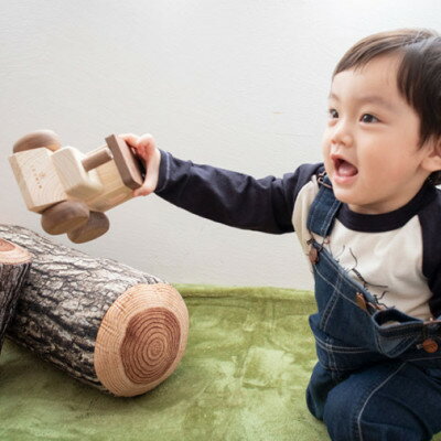 【ふるさと納税】ひのきのおもちゃIKONIH(アイコニー)の知育玩具　オルゴールトレイン【1446723】 サムネイル3