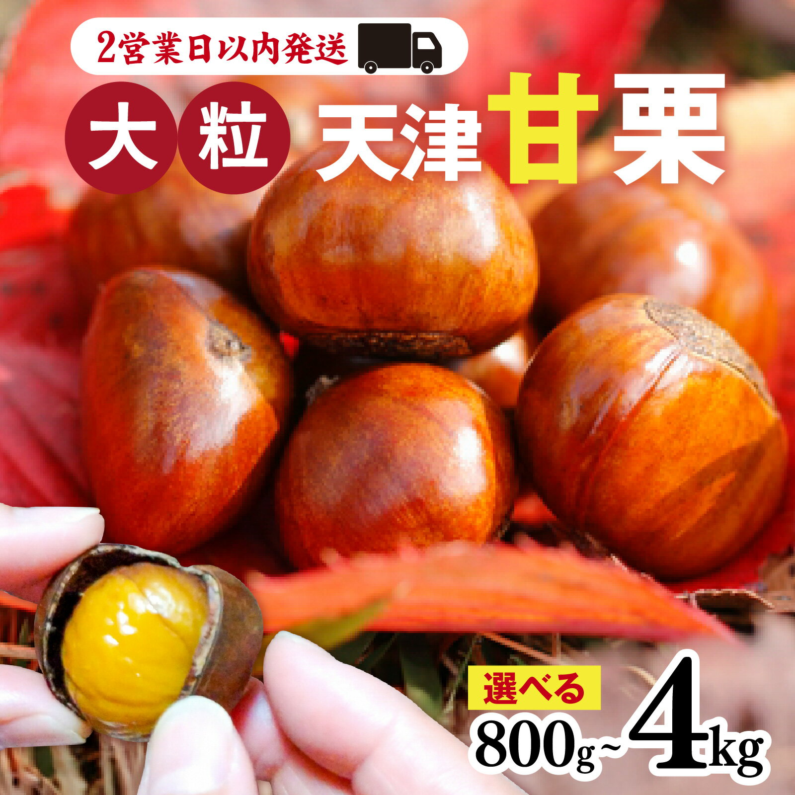 天津甘栗 選べる容量 800g 1.1kg 2kg 2.5kg 4kg / 甘栗 栗 兵庫 兵庫県 特選大粒栗 大粒 おやつ お菓子 スイーツ 栗好き 焼き栗 焼き マロン こだわり製法 新栗 スピード発送 最短2営業日発送