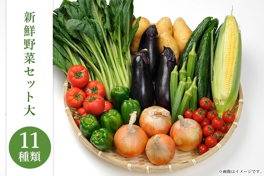 新鮮野菜セット大（11種類）【 野菜 セット 詰合せ 旬のお野菜 新鮮 安全 出荷農家により異なる味 お楽しみ 】