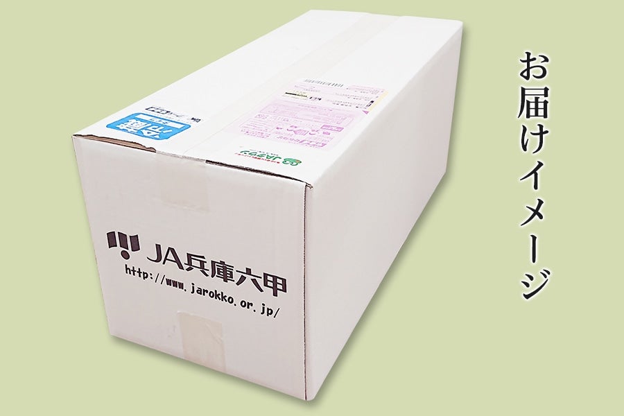 【ふるさと納税】新鮮野菜セット大（11種類）【 野菜 セット 詰合せ 旬のお野菜 新鮮 安全 出荷農家により異なる味 お楽しみ 】 - 画像2