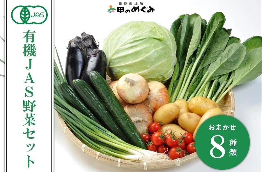有機JAS野菜セット（8種類）【 野菜 セット 詰合せ 旬のお野菜 新鮮 安全 オーガニック 出荷農家により異なる味 お楽しみ 】