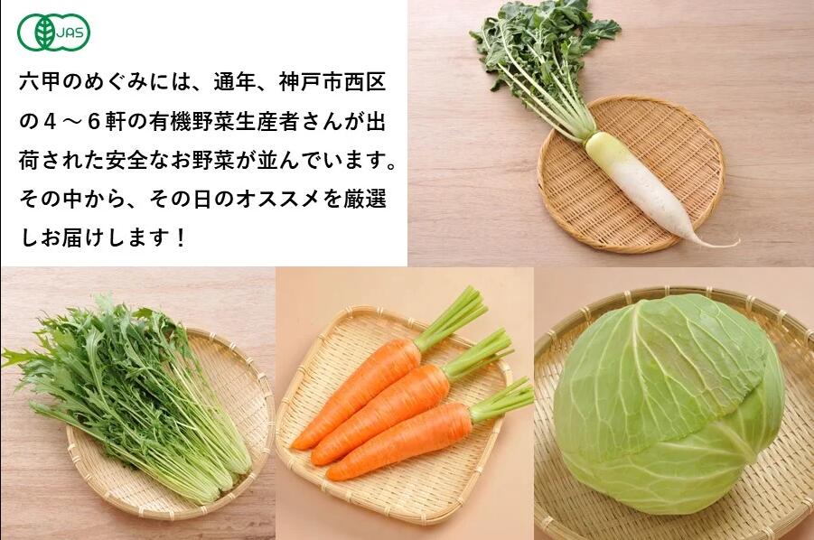 【ふるさと納税】有機JAS野菜セット（8種類）【 野菜 セット 詰合せ 旬のお野菜 新鮮 安全 オーガニック 出荷農家により異なる味 お楽しみ 】 - 画像2