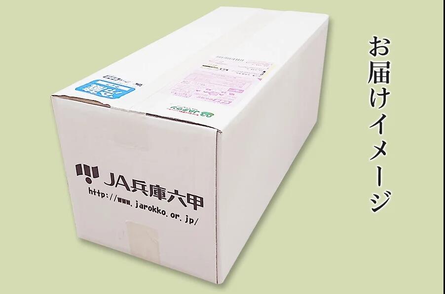 【ふるさと納税】有機JAS野菜セット（8種類）【 野菜 セット 詰合せ 旬のお野菜 新鮮 安全 オーガニック 出荷農家により異なる味 お楽しみ 】 - 画像3