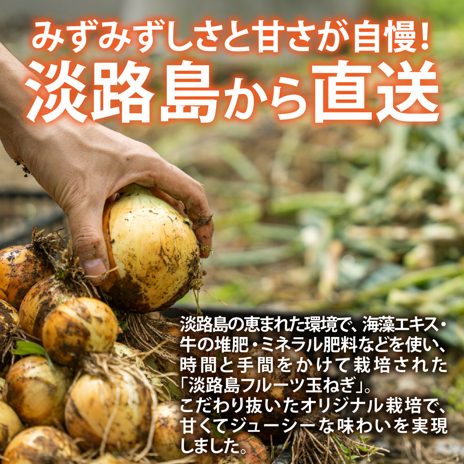 【ふるさと納税】淡路島産 フルーツ玉ねぎ 選べる種類容量 【熟成 / 新玉】【4kg / 8kg】 サイズ色々 / 淡路 淡路島 あわじ 玉ねぎ タマネギ 玉葱 淡路島産玉ねぎ カレー シチュー バーベキュー 料理 スープ サラダ人気 訳あり 料理 送料無料 サムネイル3