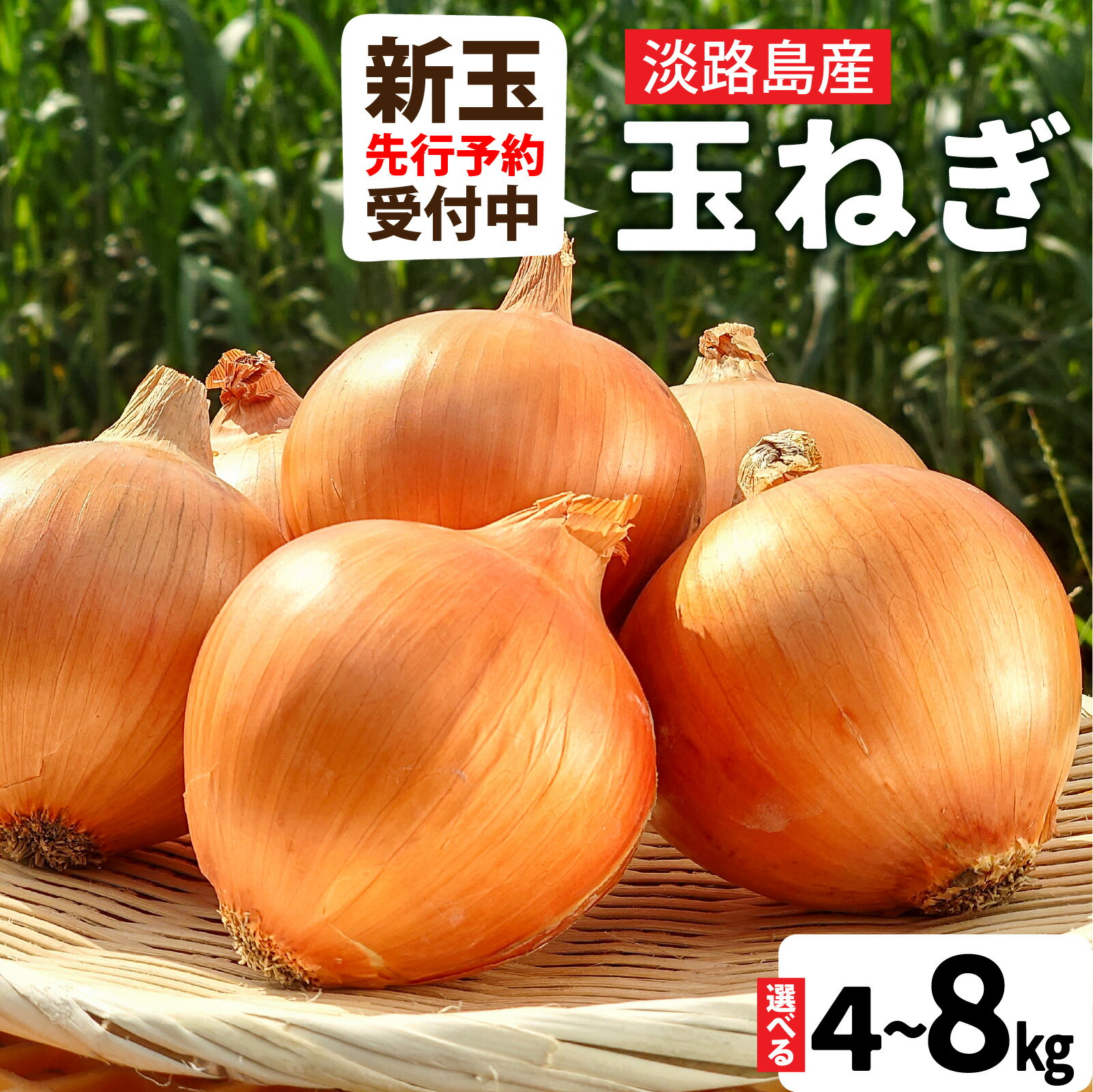 【新玉ねぎ先行予約受付中】淡路島産 フルーツ玉ねぎ 選べる種類容量 【熟成 / 新玉】【4kg / 8kg】サイズ色々 / 淡路 淡路島 あわじ たまねぎ タマネギ 玉葱 淡路島産玉ねぎ カレー シチュー バーベキュー スープ サラダ 料理 訳あり 送料無料 先行予約