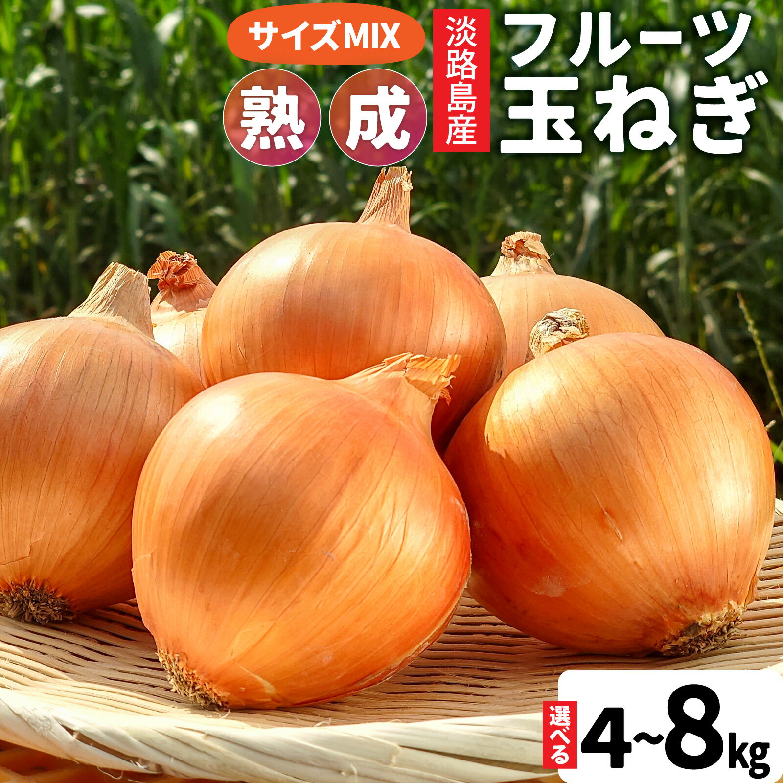 淡路島産 フルーツ玉ねぎ 選べる種類容量 【熟成 / 新玉】【4kg / 8kg】 サイズ色々 / 淡路 淡路島 あわじ 玉ねぎ タマネギ 玉葱 淡路島産玉ねぎ カレー シチュー バーベキュー 料理 スープ サラダ人気 訳あり 料理 送料無料