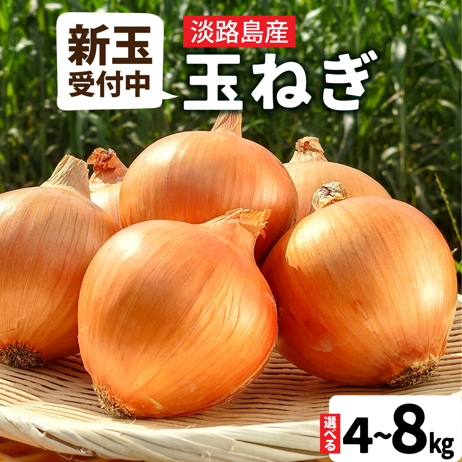 【熟成玉ねぎ先行予約】【新玉ねぎ受付中】淡路島産 フルーツ玉ねぎ 選べる種類容量 【熟成 / 新玉】【4kg / 8kg】サイズ色々 / 淡路 淡路島 あわじ たまねぎ タマネギ 玉葱 淡路島産玉ねぎ カレー シチュー バーベキュー スープ サラダ 料理 訳あり 春野菜