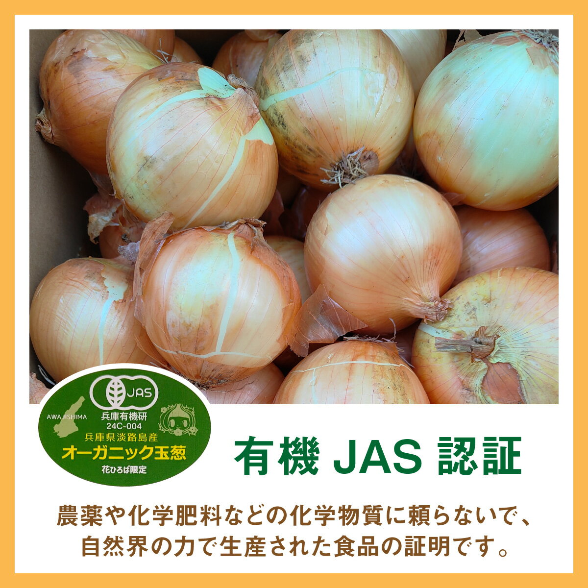 【ふるさと納税】【先行予約】淡路島産有機栽培玉葱5～10kg JAS認定オーガニックたまねぎ ※2026年5月中旬頃より順次発送予定 / 玉ねぎ 玉ネギ タマネギ オニオン 有機 有機栽培 国産 炒め物 煮込み 兵庫県 - 画像2