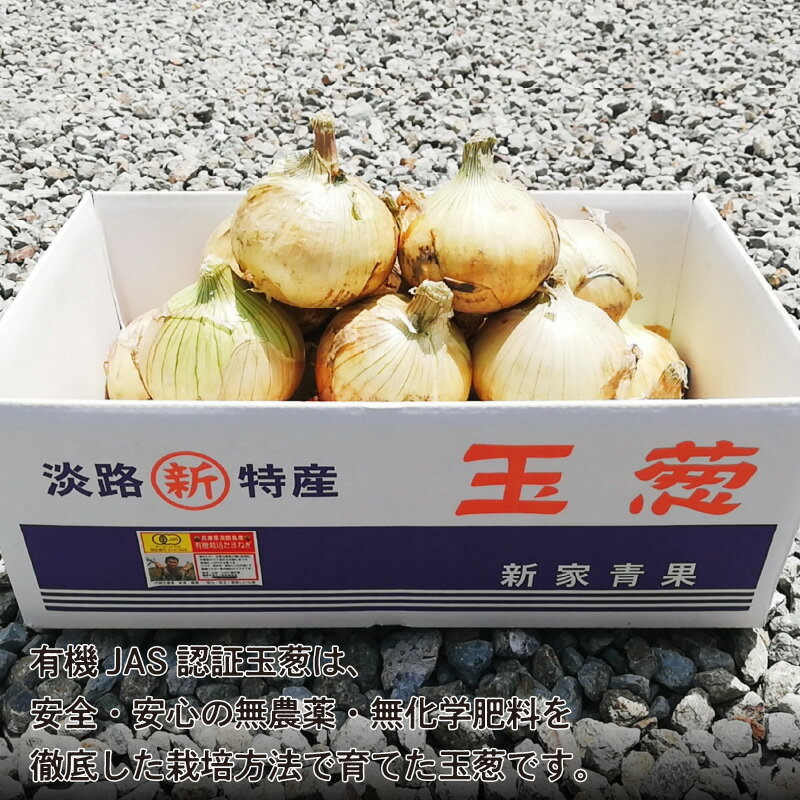 【ふるさと納税】【先行予約】淡路島産有機栽培玉葱5～10kg JAS認定オーガニックたまねぎ ※2026年5月中旬頃より順次発送予定 / 玉ねぎ 玉ネギ タマネギ オニオン 有機 有機栽培 国産 炒め物 煮込み 兵庫県 - 画像3