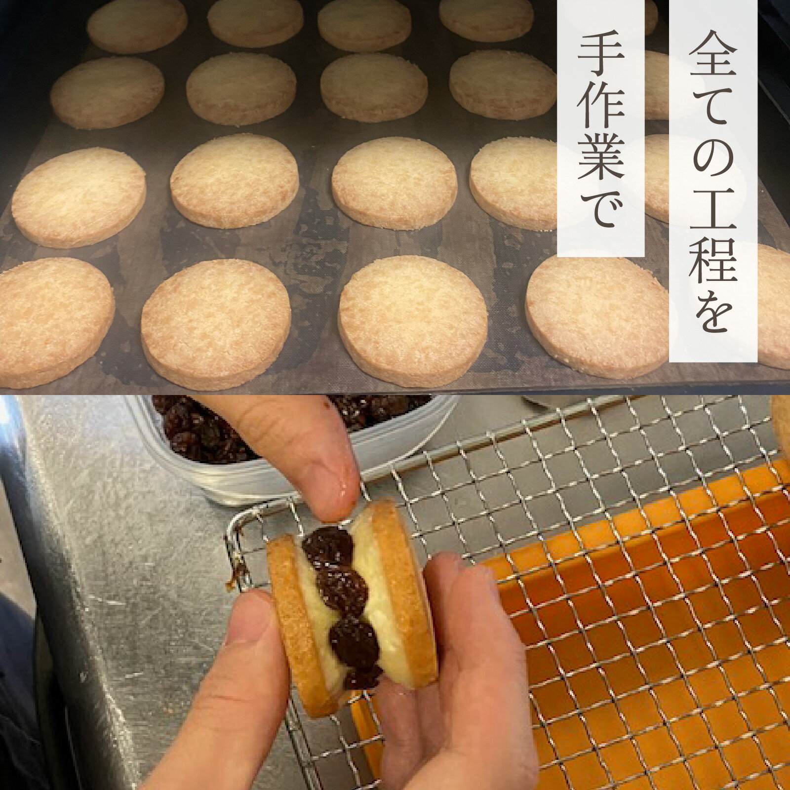 【ふるさと納税】 レーズンバターサンドボックス（5個入） / 最速発送 菓子 バターサンド クッキー コーヒー 珈琲 ティー おやつ おすすめ 紅茶 スイーツ 焼き菓子 洋菓子 お菓子 人気 - 画像3