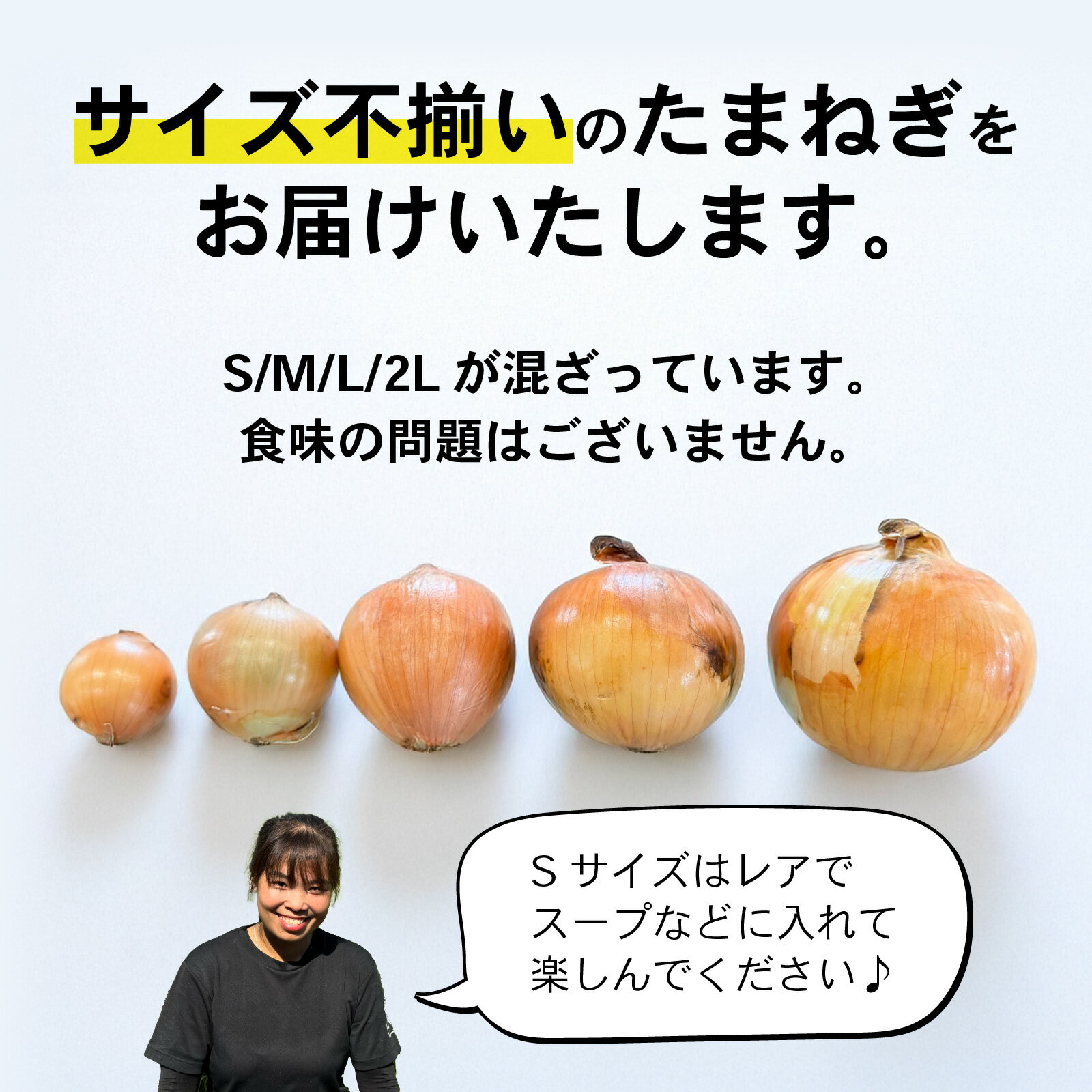 【ふるさと納税】 訳あり 玉ねぎ（新玉ねぎ） 5kg 淡路島 フードロス SDGs　／ たまねぎ SDGs サイズ 混合 ミックス S M L 2L タマネギ オニオン サラダ ハンバーグ 肉じゃが 焼肉 常備菜 BBQ スープ 味噌汁 産地直送 兵庫県 淡路市 - 画像2