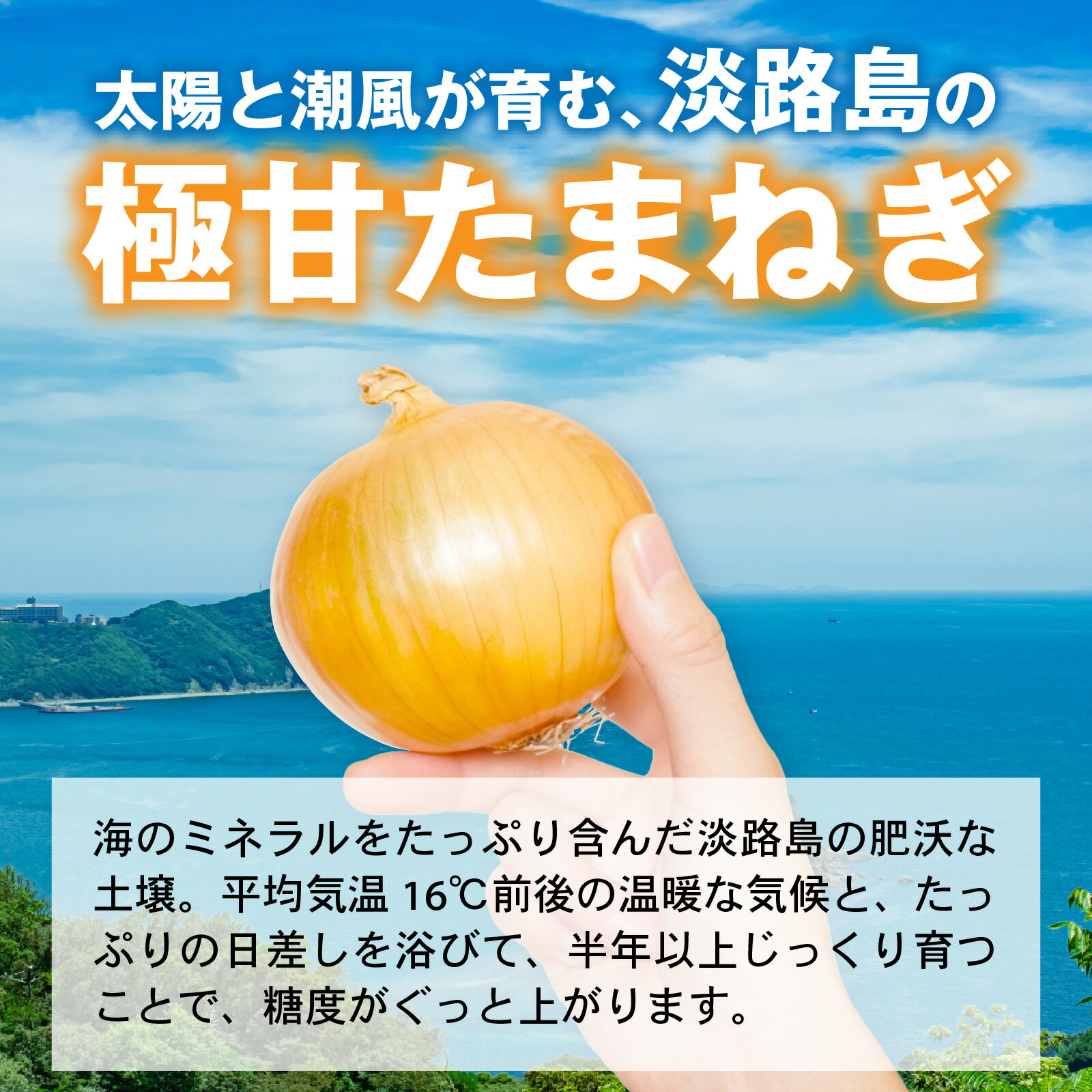 【ふるさと納税】 訳あり 玉ねぎ（新玉ねぎ） 5kg 淡路島 フードロス SDGs　／ たまねぎ SDGs サイズ 混合 ミックス S M L 2L タマネギ オニオン サラダ ハンバーグ 肉じゃが 焼肉 常備菜 BBQ スープ 味噌汁 産地直送 兵庫県 淡路市 - 画像3