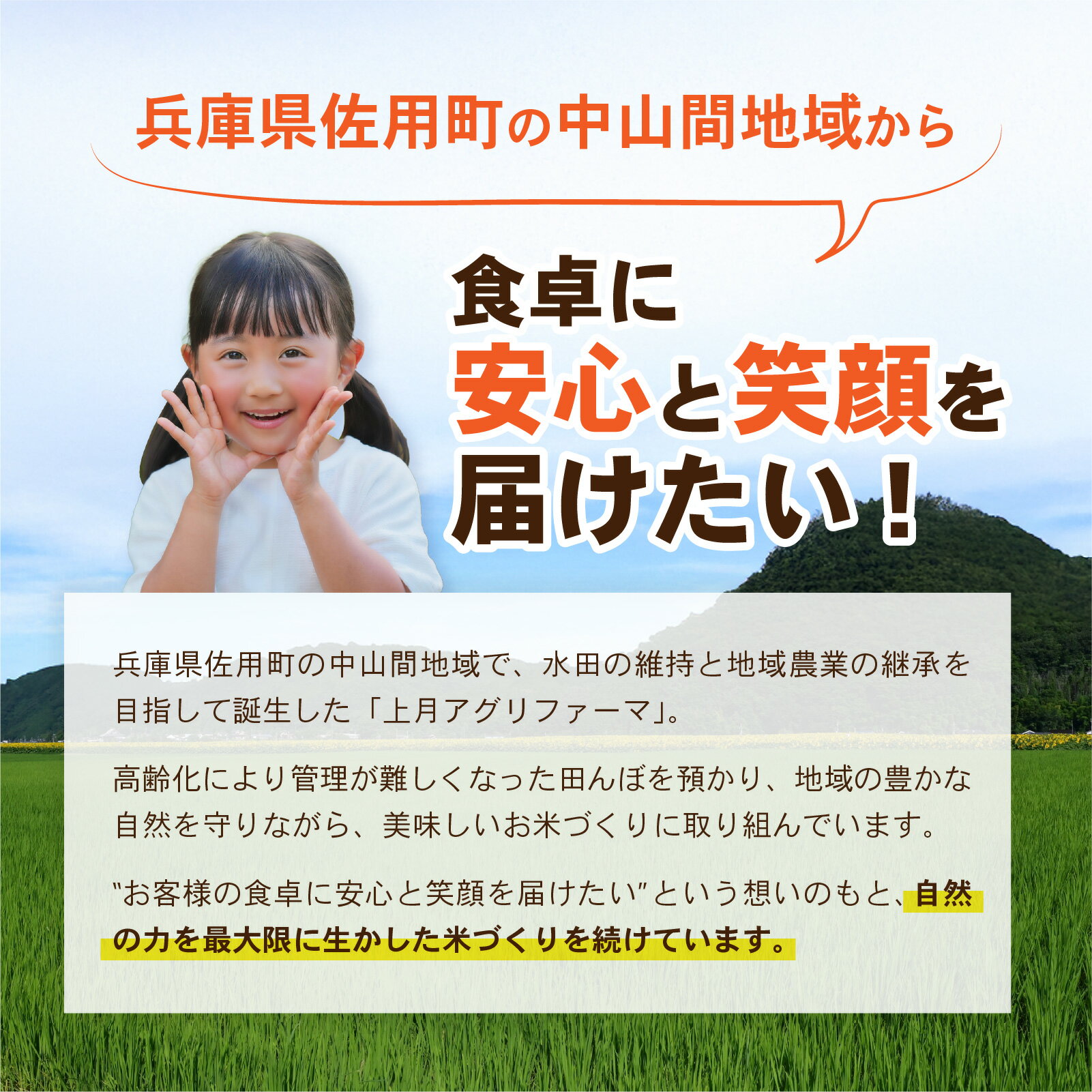 【ふるさと納税】【選べる容量・回数】 兵庫県佐用町で育てたひのひかり ／兵庫県産 ひのひかり 減農薬米 精米 お米 新鮮 小粒 うるち米 あっさり 西日本 新米 - 画像3