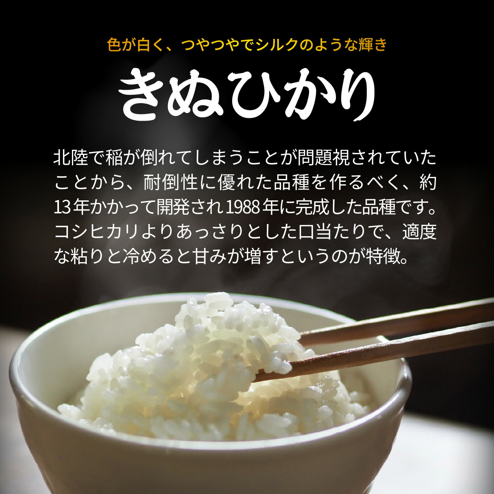 【ふるさと納税】【選べる容量・回数】兵庫県佐用町で育てたきぬひかり / 兵庫県産 きぬひかり 減農薬米 精米 お米 シルク 粘り 甘み つやつや あっさり 新鮮 おにぎり 自然の力 自然豊か ブランド米 - 画像2
