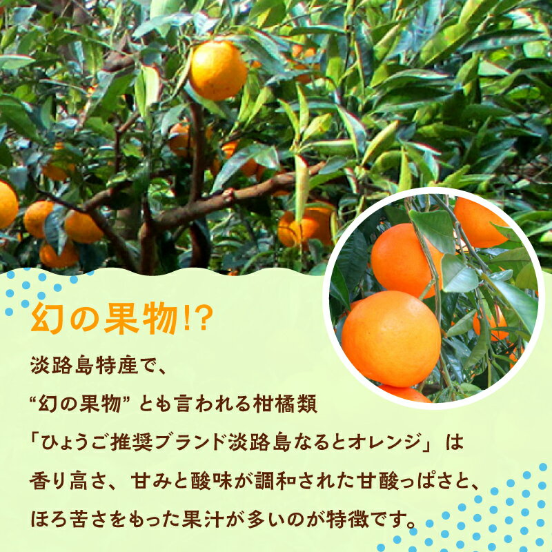 【ふるさと納税】【先行予約／数量限定】 淡路島なるとオレンジ 選べる容量 5kg/10kg ※2026年4月上旬頃より順次発送予定 若宮ミカン農園 みかん オレンジ フルーツ ミカン 果物 果実 青果 兵庫県 淡路島 洲本市産 農園 農家 有機 幻 まぼろし 送料無料 サムネイル2