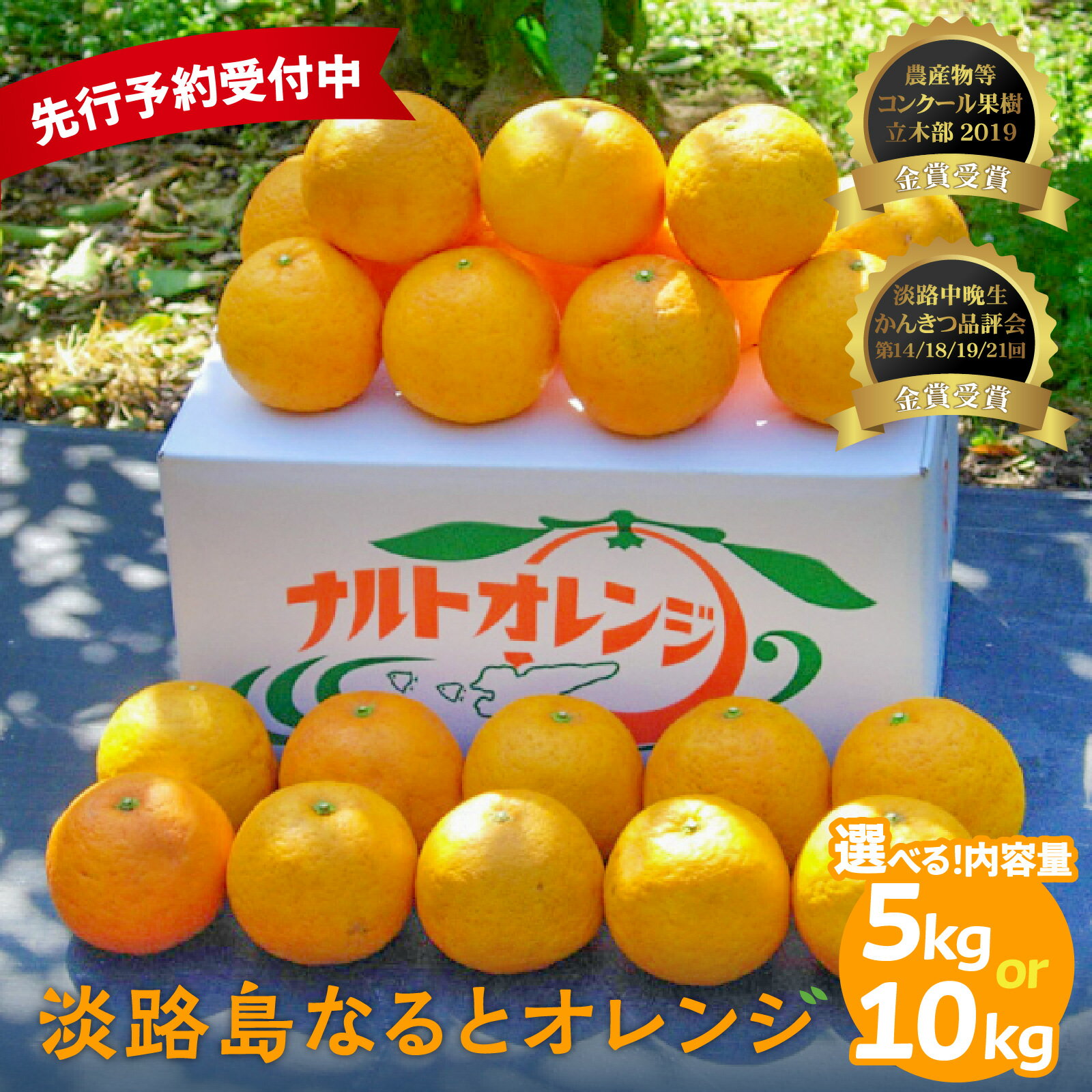 【先行予約／数量限定】 淡路島なるとオレンジ 選べる容量 5kg/10kg ※2026年4月上旬頃より順次発送予定 若宮ミカン農園 みかん オレンジ フルーツ ミカン 果物 果実 青果 兵庫県 淡路島 洲本市産 農園 農家 有機 幻 まぼろし 送料無料