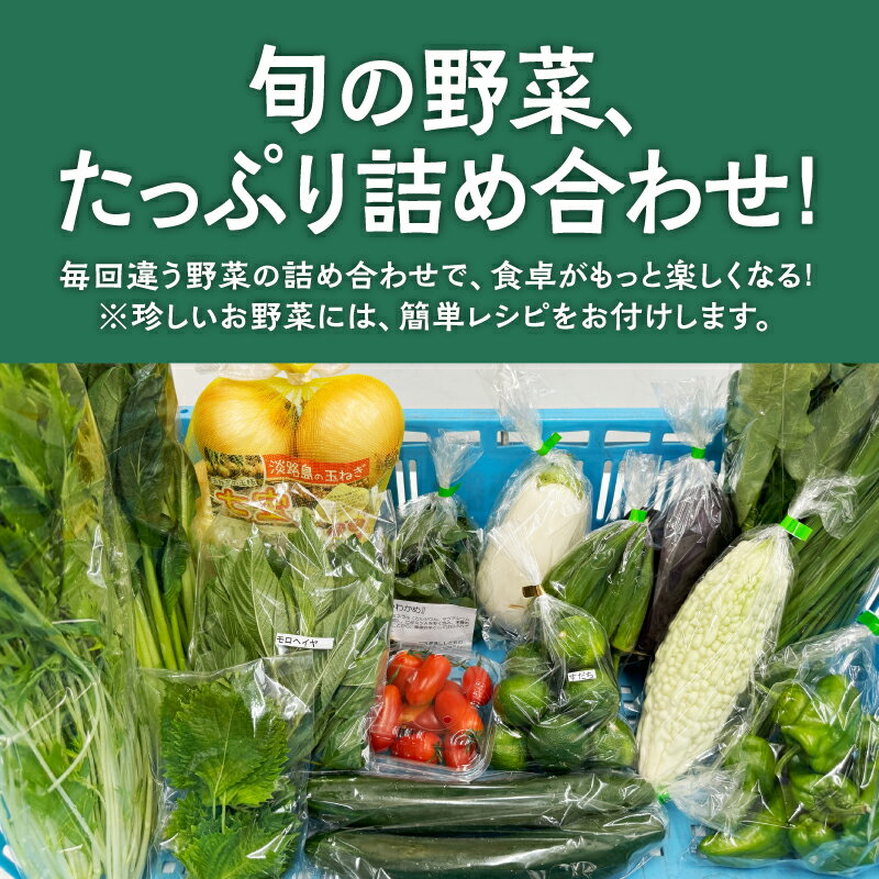 【ふるさと納税】 淡路島の加工品付き旬の野菜セット10品 / 野菜セット 野菜盛り合わせ 野菜ミックス 野菜ギフト 野菜 旬のお野菜 旬のくだもの 新鮮野菜 お楽しみ レシピ付き 送料無料 - 画像2