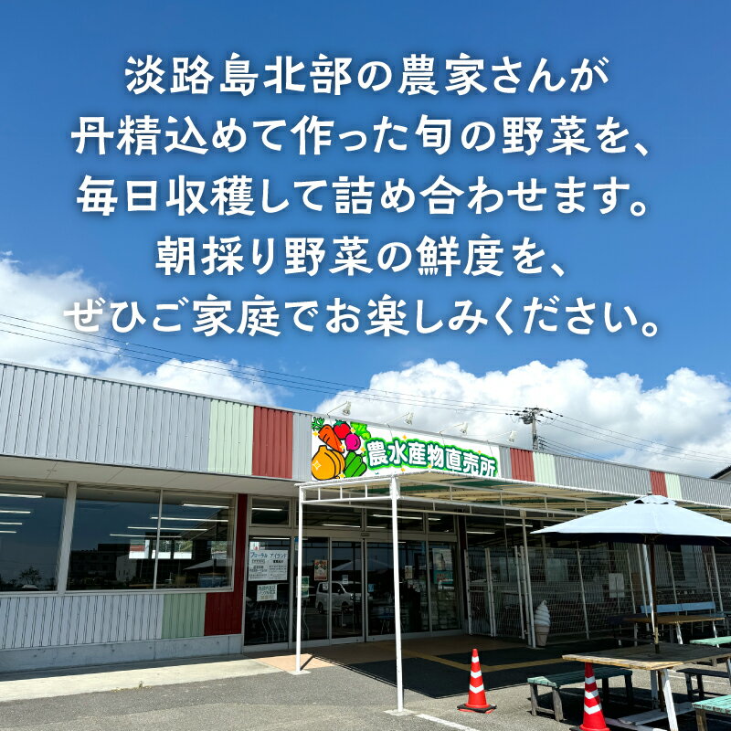 【ふるさと納税】 淡路島の加工品付き旬の野菜セット10品 / 野菜セット 野菜盛り合わせ 野菜ミックス 野菜ギフト 野菜 旬のお野菜 旬のくだもの 新鮮野菜 お楽しみ レシピ付き 送料無料 - 画像3