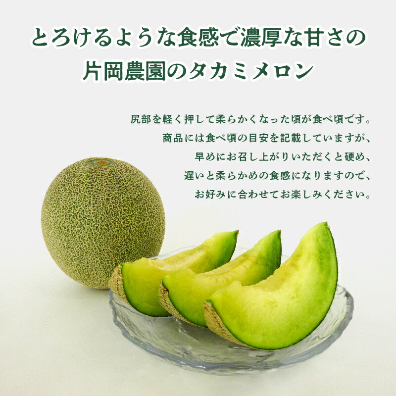 【ふるさと納税】 【先行予約】 兵庫県産 タカミメロン 2玉 3kg以上 糖度15以上 片岡農園 ※2026年7月上旬から順次発送予定【 メロン タカミメロン 農園直送 みずみずしい 甘い フルーツ 果物 スイーツ すっきり 期間限定 産地直送 果物 フルーツ メロン 甘い 人気 タカミ 】 サムネイル2
