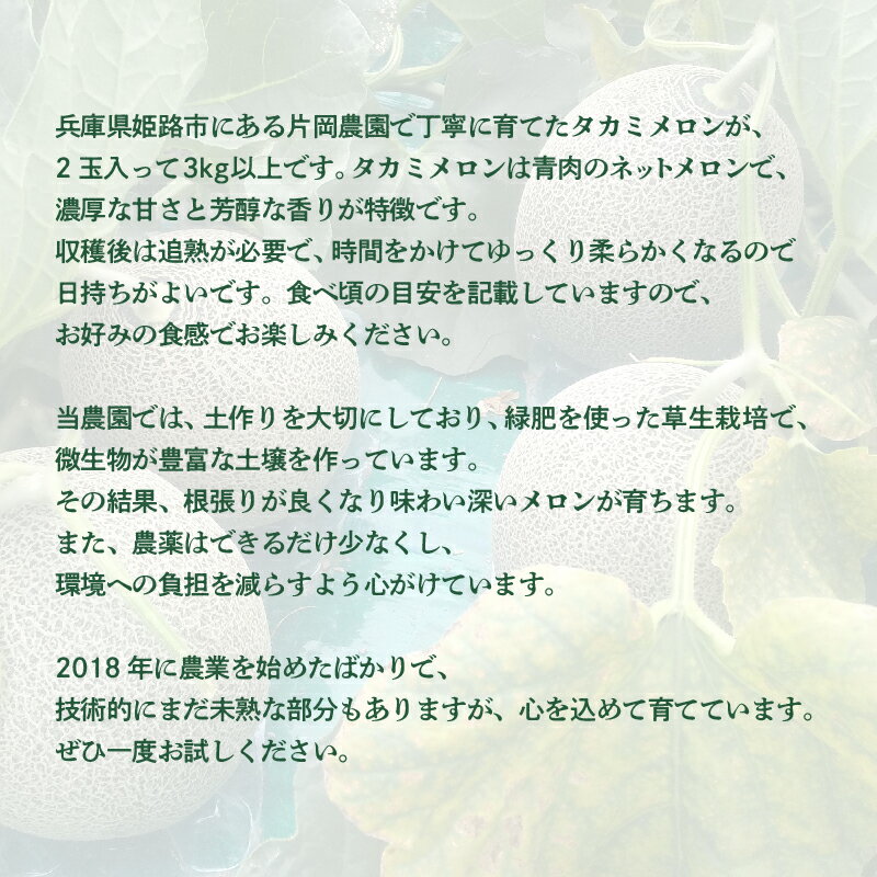 【ふるさと納税】 【先行予約】 兵庫県産 タカミメロン 2玉 3kg以上 糖度15以上 片岡農園 ※2026年7月上旬から順次発送予定【 メロン タカミメロン 農園直送 みずみずしい 甘い フルーツ 果物 スイーツ すっきり 期間限定 産地直送 果物 フルーツ メロン 甘い 人気 タカミ 】 サムネイル3