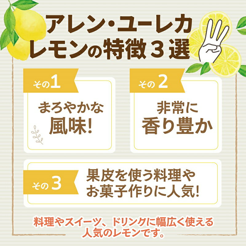 【ふるさと納税】 【期間限定】 淡路島産 アレン・ユーレカレモン 2kg / 3kg 国産レモン 淡路島 瀬戸内レモン 檸檬 lemon 柑橘 レモネード レモンサワー サムネイル3