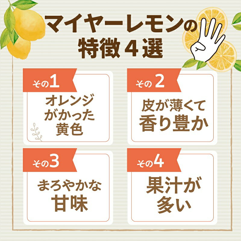 【ふるさと納税】淡路島産 マイヤーレモン 2kg / 3kg 国産レモン 淡路島 瀬戸内レモン 檸檬 lemon 柑橘 レモネード レモンサワー サムネイル3