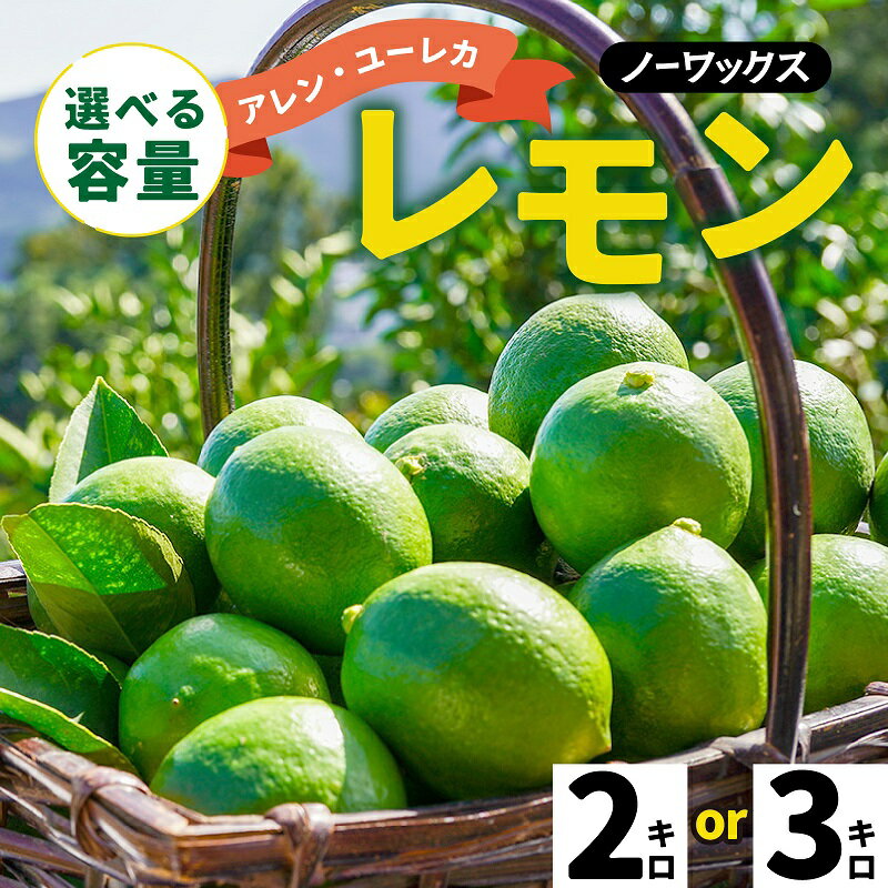 【期間限定】 淡路島産 アレン・ユーレカレモン 2kg / 3kg 国産レモン 淡路島 瀬戸内レモン 檸檬 lemon 柑橘 レモネード レモンサワー