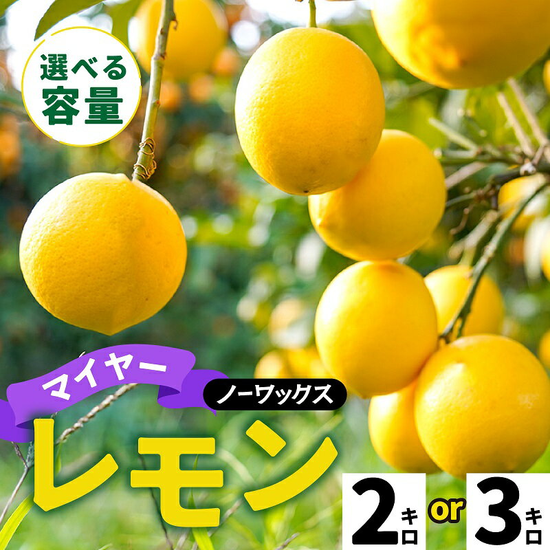 淡路島産 マイヤーレモン 2kg / 3kg 国産レモン 淡路島 瀬戸内レモン 檸檬 lemon 柑橘 レモネード レモンサワー