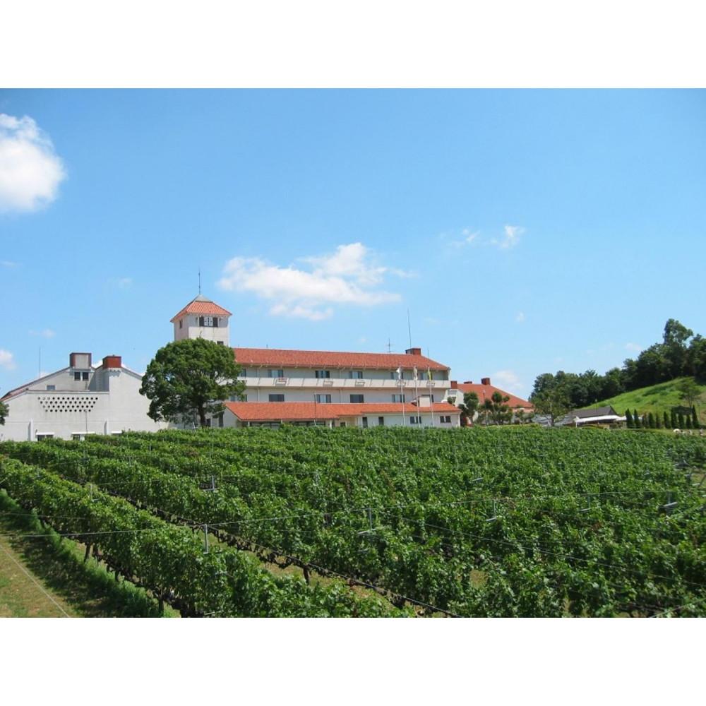 【ふるさと納税】神戸ワイン エクストラ 赤　750ml瓶×1本 サムネイル3